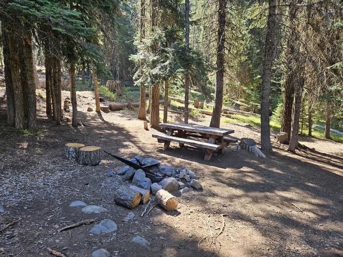 Campsite A08 at the Diamond Lake Campground