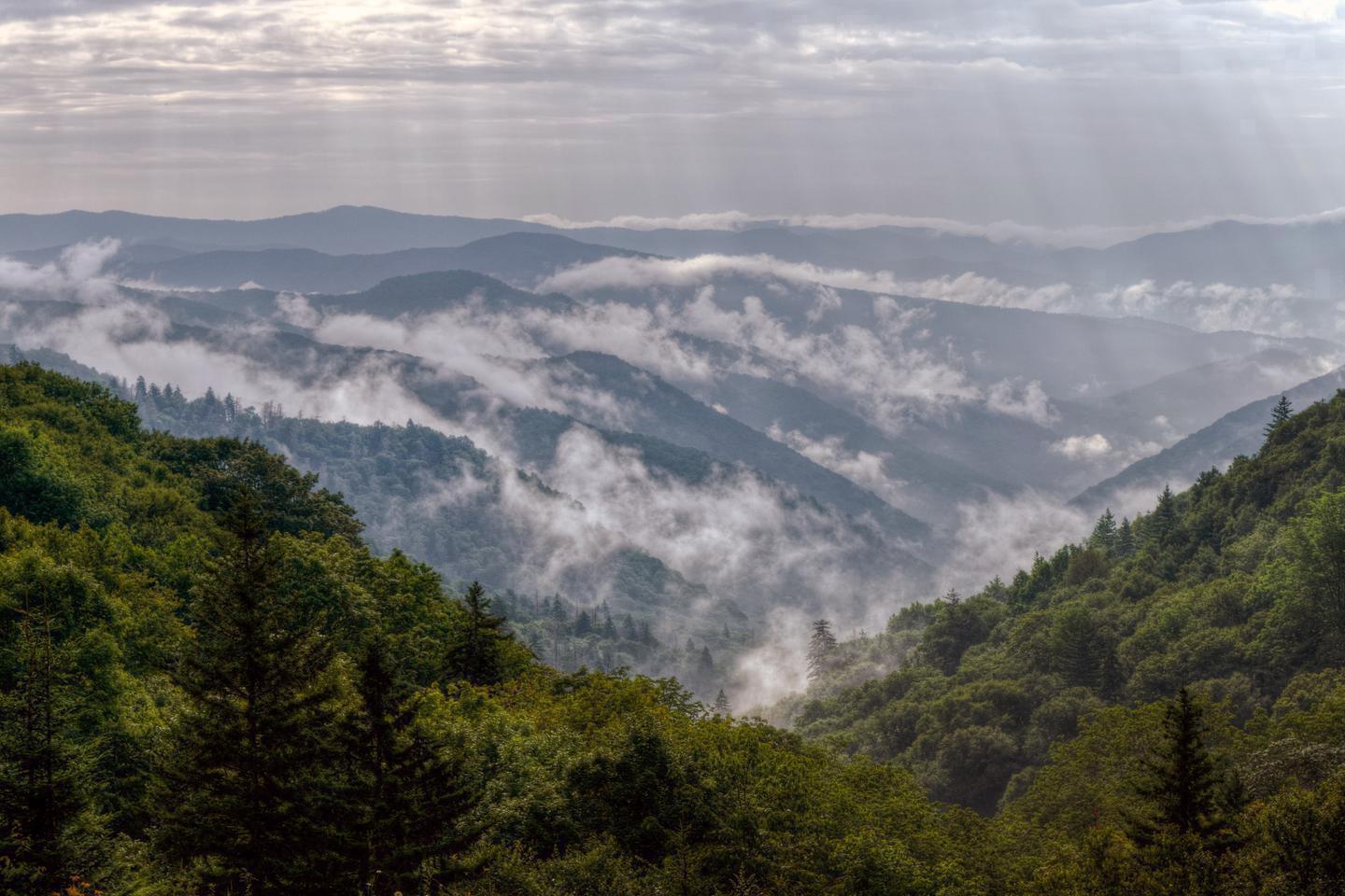 "Smoke" Rising From the MountainsThe park gets its name from mists that often rise like smoke from the mountains.