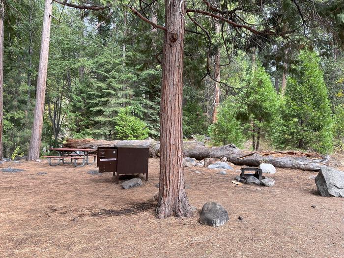 Camping area showing bear box, fire ring, and picnic tableCampsite, bear box, picnic table, and fire ring.