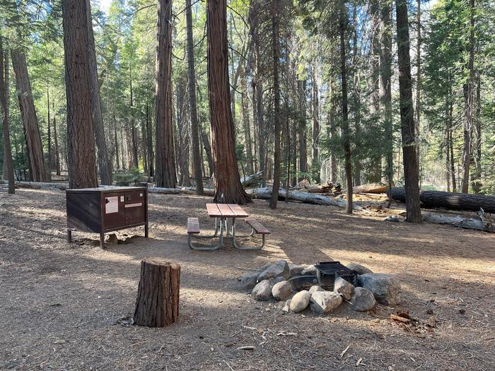 Scene showing full campsite with bear box picnic table and fire ring.Picnic table bear box and fire ring.