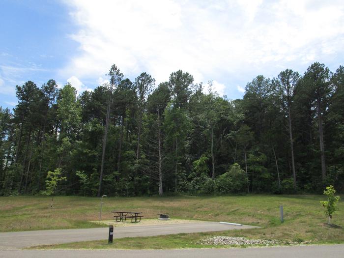 A photo of Site CL11 of Creek Loop at RED BLUFF CAMPGROUND with Picnic Table, Fire Pit, Lantern Pole