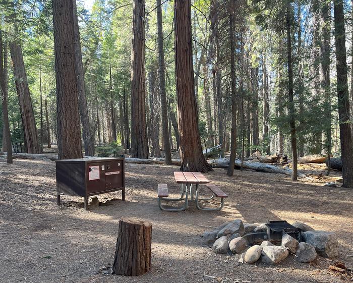 Scene showing campsite with fire ring, picnic table and bear box. Fire ring, picnic table and bear box