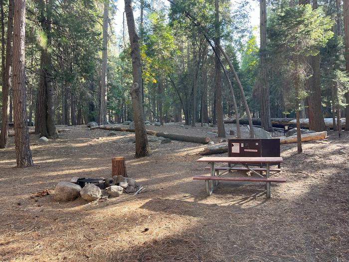 Scene showing full campsite with fire ring, picnic table, tent pad and bear box.Fire ring, picnic table, tent pad and bear box.