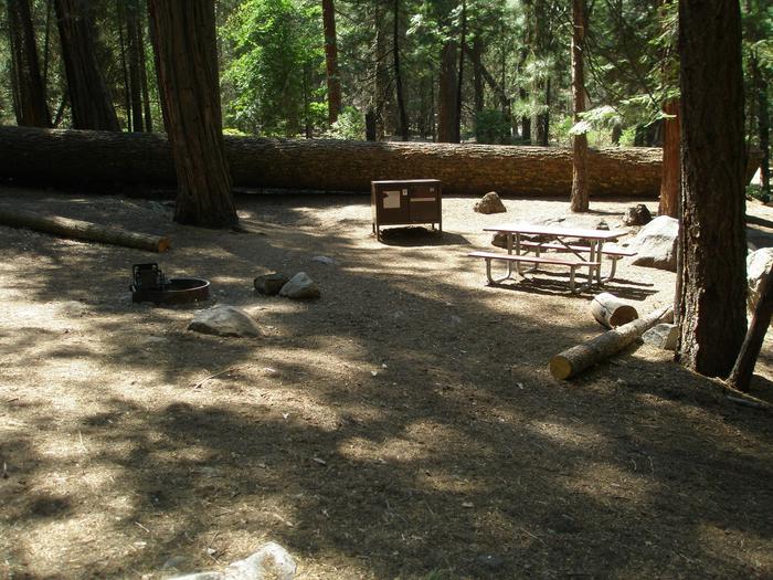 Scene showing full campground with fire ring picnic table and bear box.Fire ring, picnic table, and bear box.