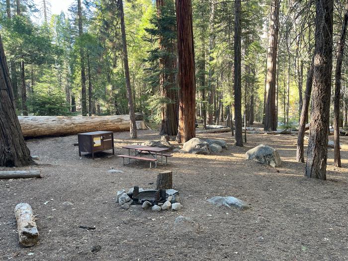 Scene showing full campsite with fire ring, picnic table and bear box.Fire ring, picnic table and bear box.