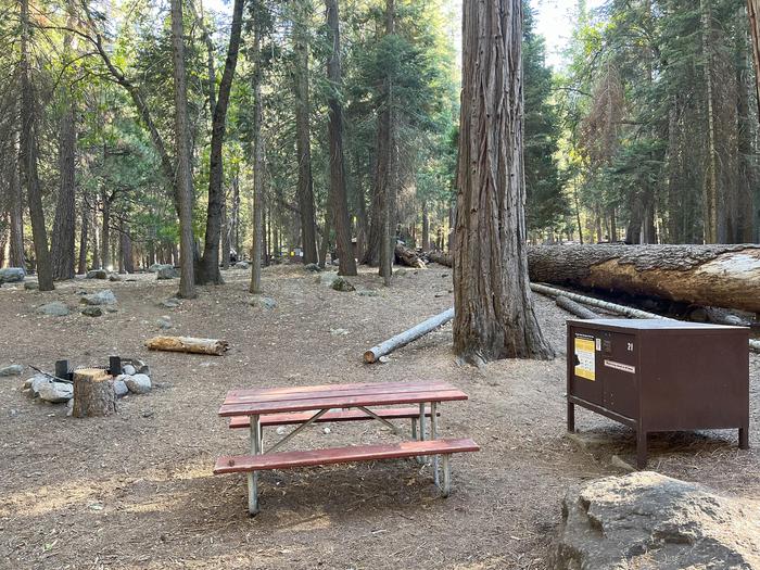 Scene showing full campsite with fire ring, picnic table, tent pad and bear box.Picnic table, bear box, fire ring and tent pad.