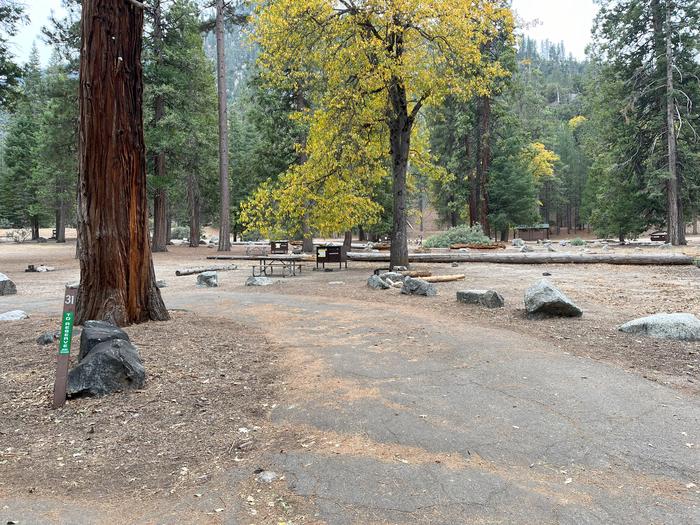 Scene showing parking pad, numbered site post and full campsite.Numbered site post and parking pad with campsite in background.