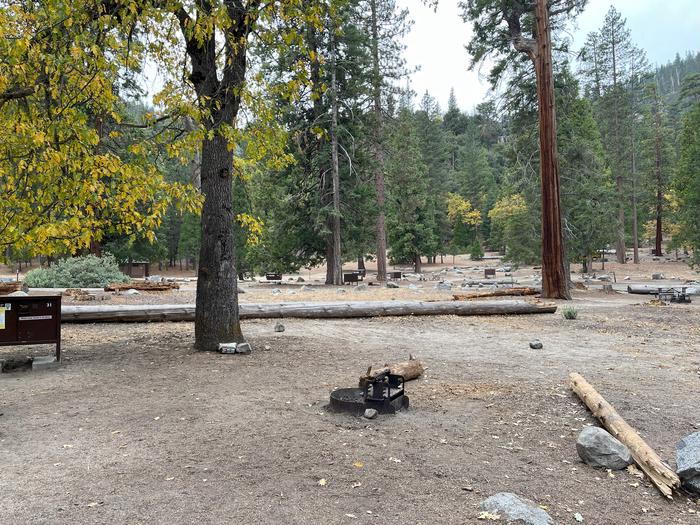 Scene showing fire ring and tent pad. Fire ring and tent pad. 