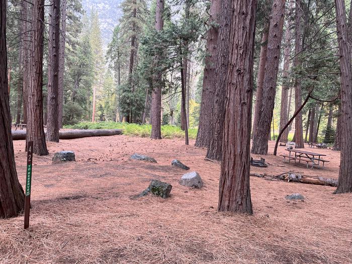 Scene showing numbered site post parking pad, tent pad, fire ring and picnic table. Numbered site post parking pad, tent pad, fire ring and picnic table. 