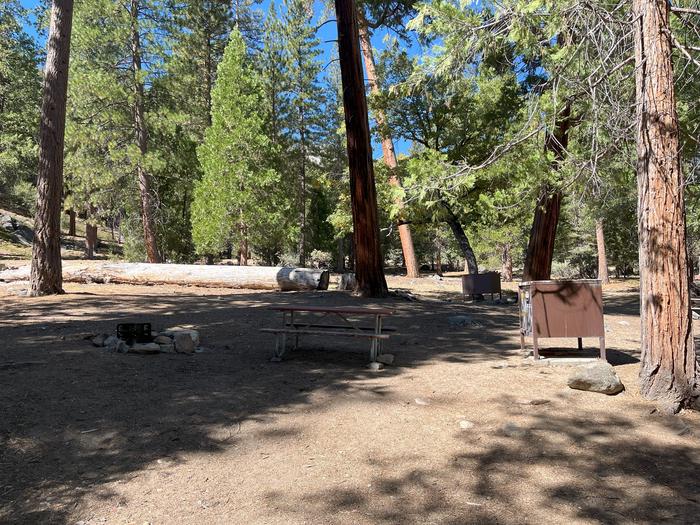 Scene showing campsite with fire ring, picnic table, bear box and tent pad. Fire ring, picnic table, bear box and tent pad. 