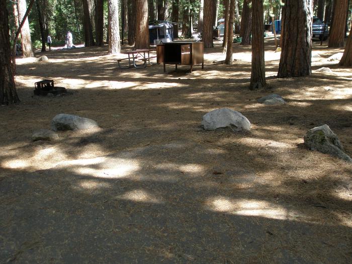 Scene showing full campsite from parking pad. Fire ring, picnic table and bear box in the shade. Parking pad with campsite in background. 