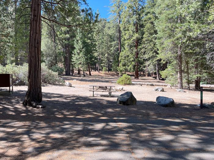 Scene showing parking pad bear box picnic table and tent pad. Bear box, picnic table and tent pad. 