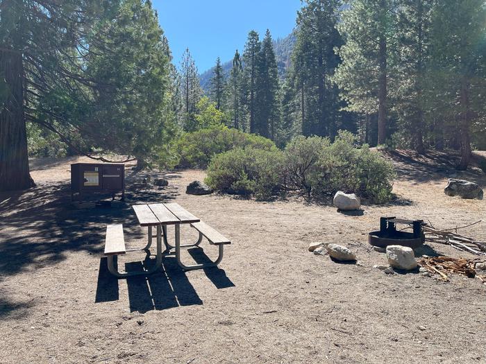 Scene campsite with picnic table, fire ring and bear box. Picnic table, fire ring and bear box. 