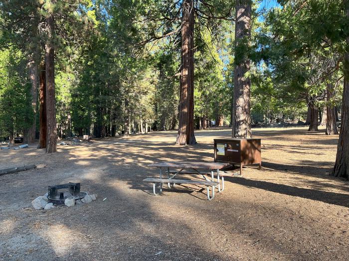 Scene showing campsite with fire ring, picnic table and bear box.  Fire ring, picnic table and bear box. 