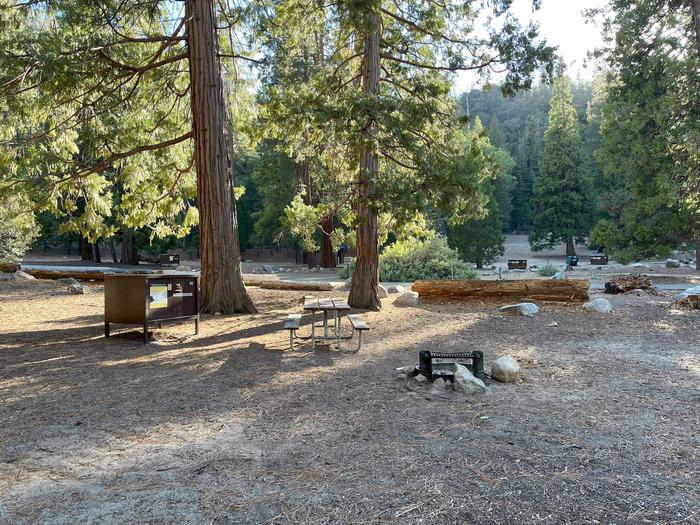 Scene showing full campsite with fire ring, picnic table, tent pad and bear box. Fire ring, picnic table, tent pad and bear box. 