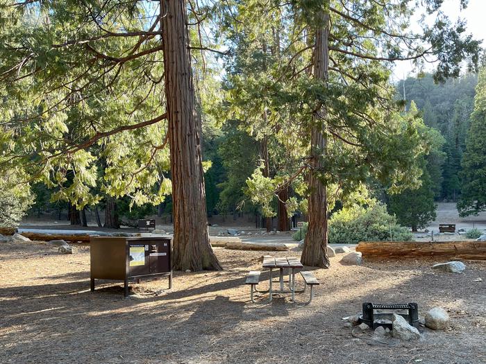 Scene showing campsite with fire ring, picnic table and bear box.  Fire ring, picnic table and bear box. 