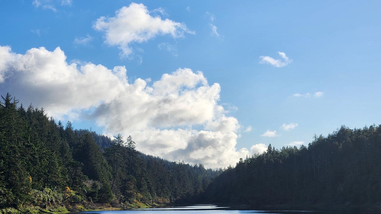 Blue lake with sand and grass covered shore in foreground and conifer forest in background.CARTER LAKE