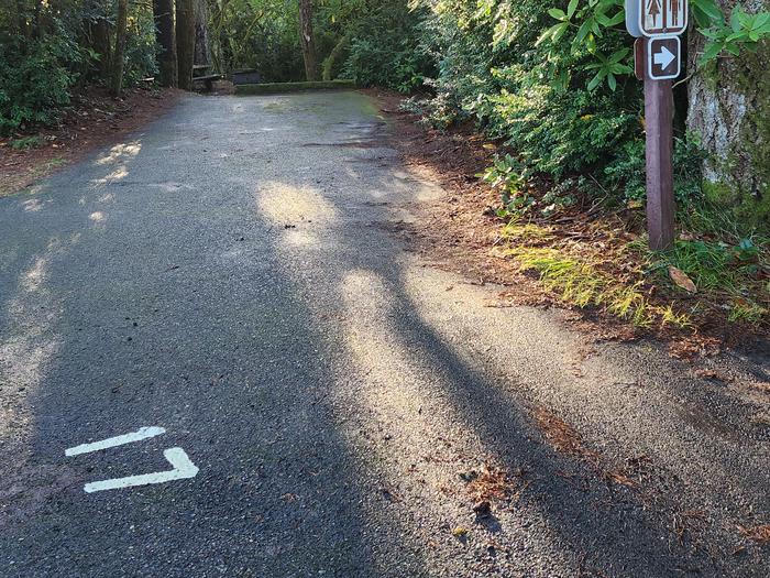 Carter Lake Parking site 17