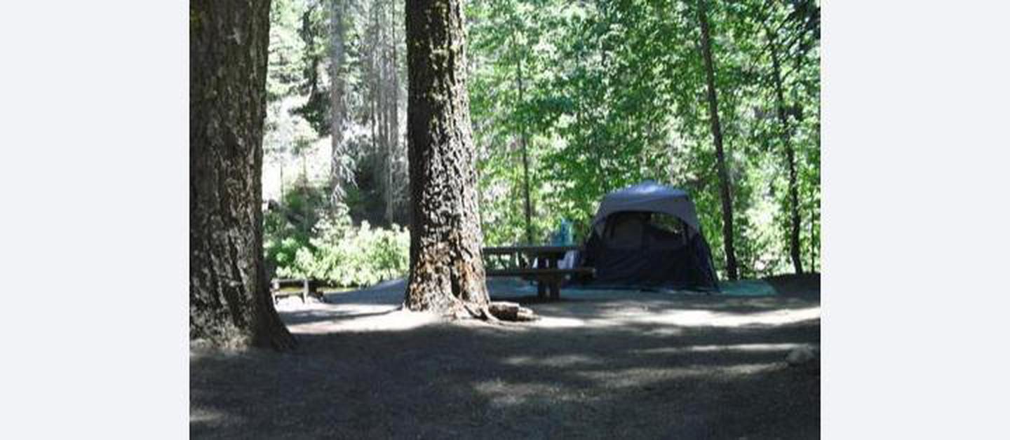 A photo of Site 5 of Loop 1 at SOQUEL CAMPGROUND with Picnic Table, Fire Pit