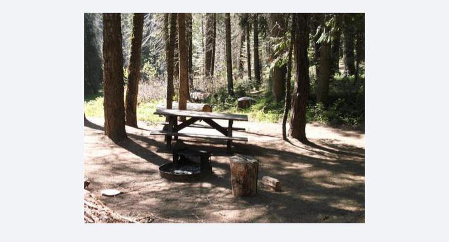 A photo of Site 9 of Loop 1 at SOQUEL CAMPGROUND with Picnic Table, Fire Pit