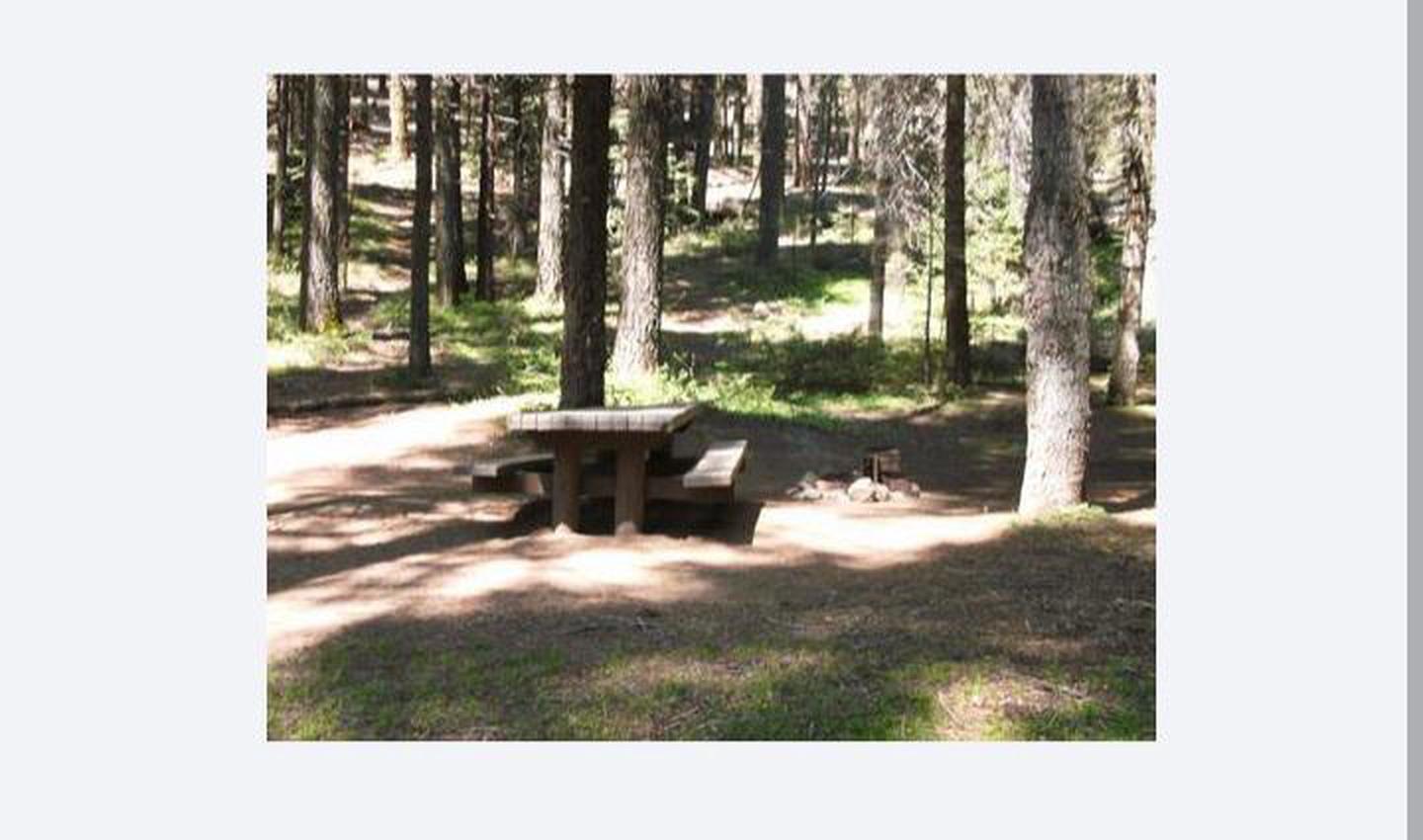 A photo of Site 10 of Loop 1 at SOQUEL CAMPGROUND with Picnic Table, Fire Pit