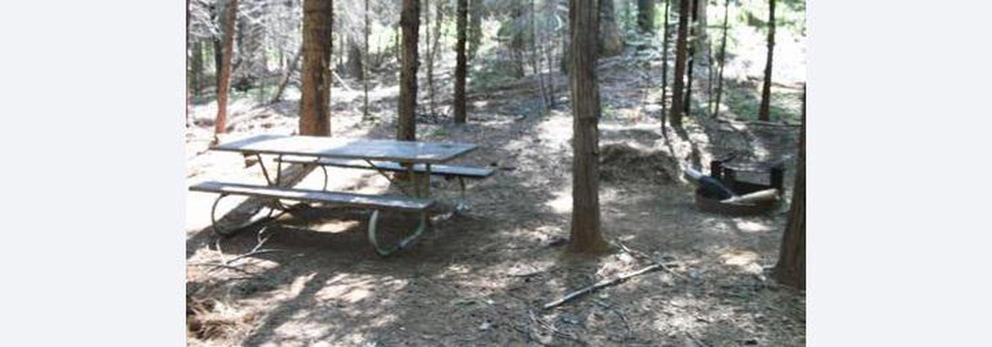 A photo of Site 2 of Loop 1 at CHILKOOT with Tent Pad, Picnic Table, Fire Pit