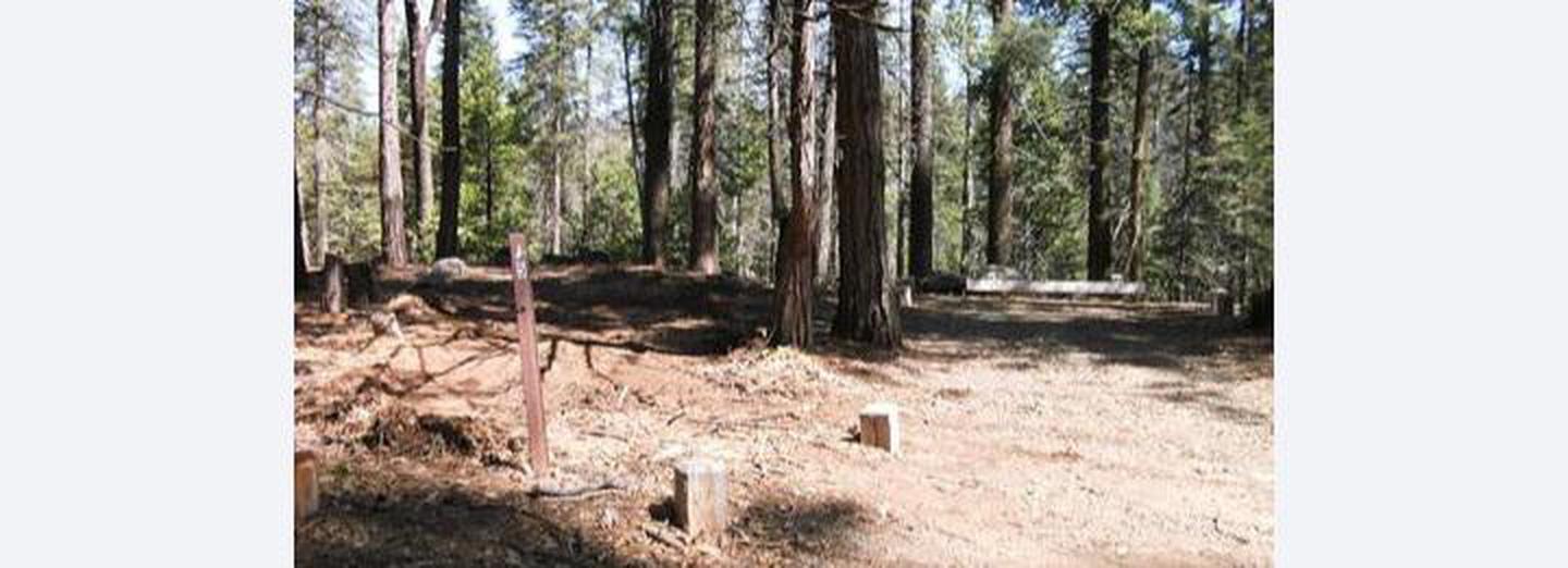 A photo of Site 5 of Loop 1 at CHILKOOT with Tent Pad, Picnic Table, Fire Pit