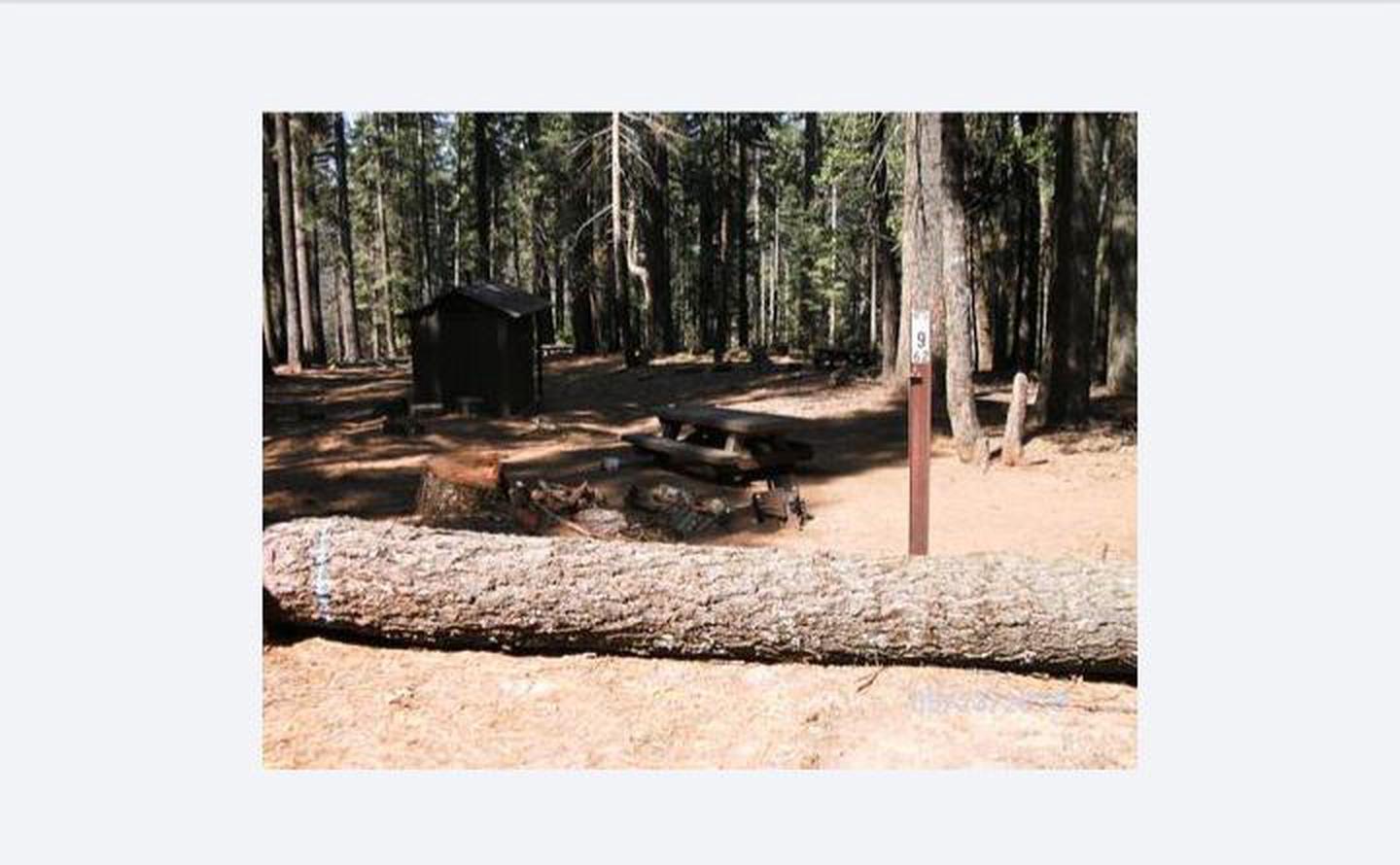 A photo of Site 9 of Loop 1 at CHILKOOT with Tent Pad, Picnic Table, Fire Pit