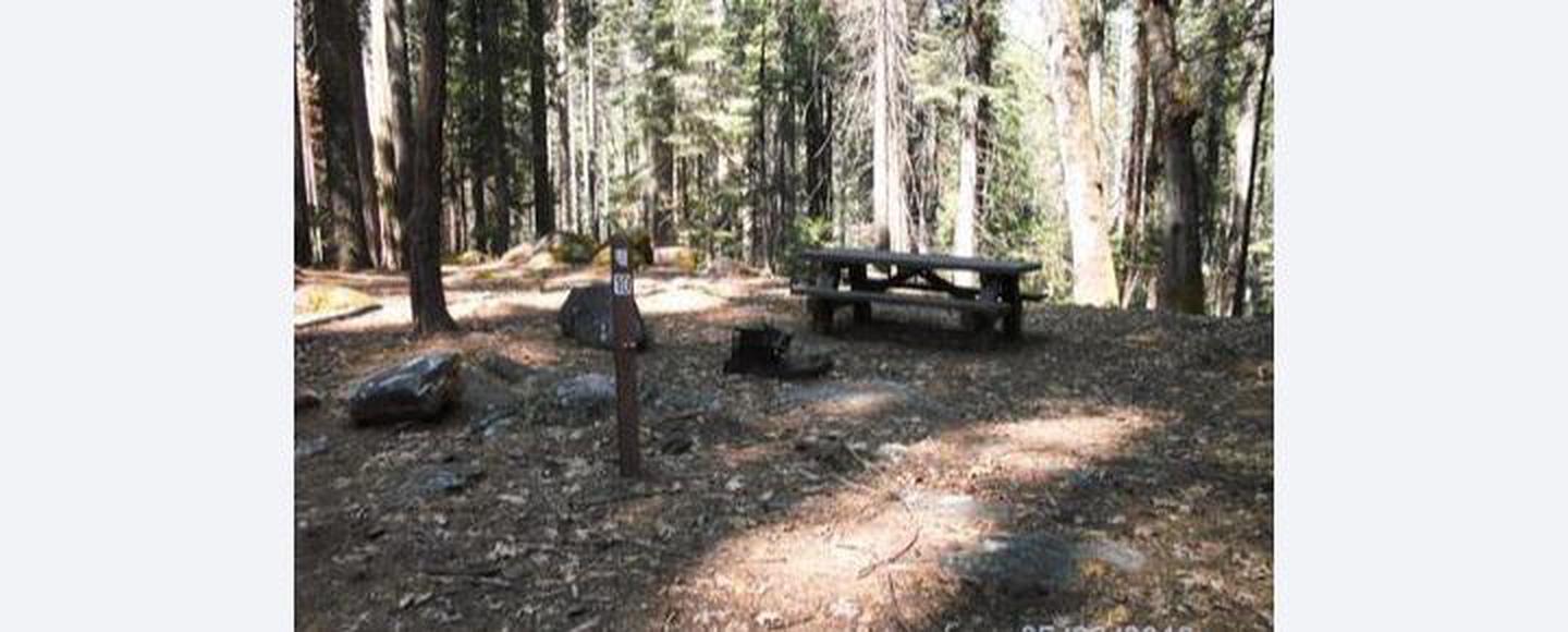 A photo of Site 10 of Loop 1 at CHILKOOT with Tent Pad, Picnic Table, Fire Pit