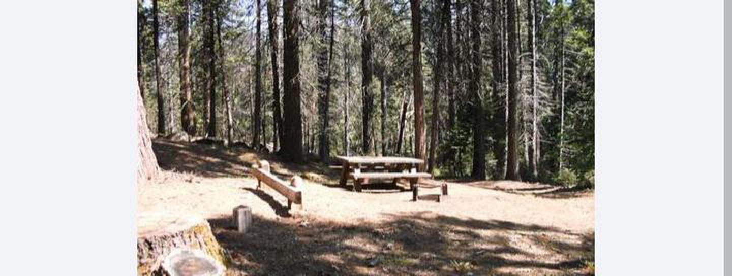 A photo of Site 4 of Loop 1 at CHILKOOT with Tent Pad, Picnic Table, Fire Pit