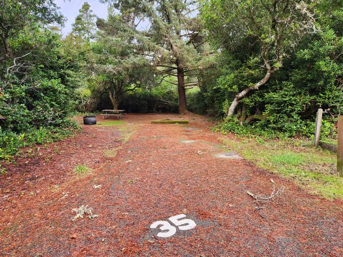 Waxmyrtle Campground parking 35