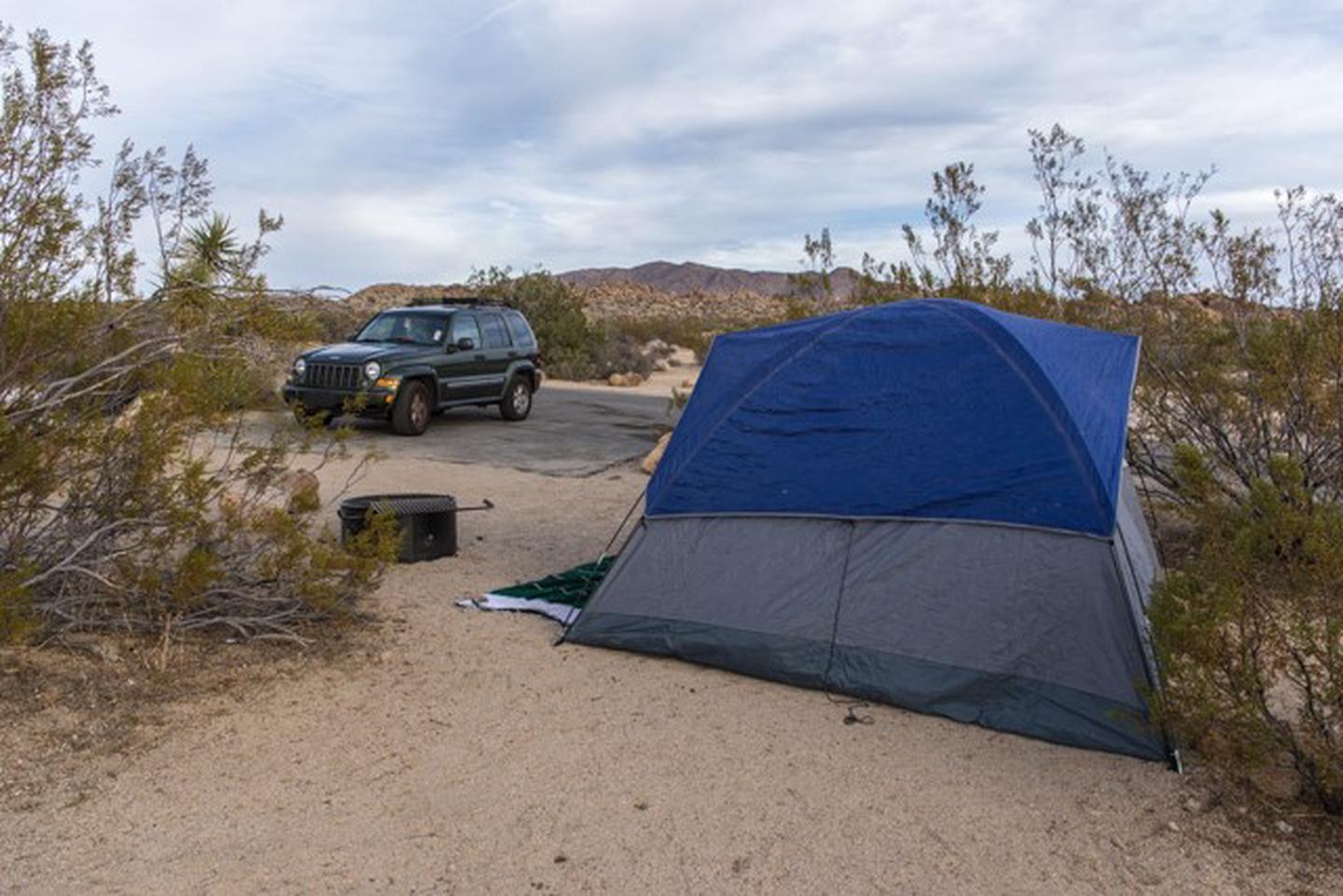 Site A-12Small tent space