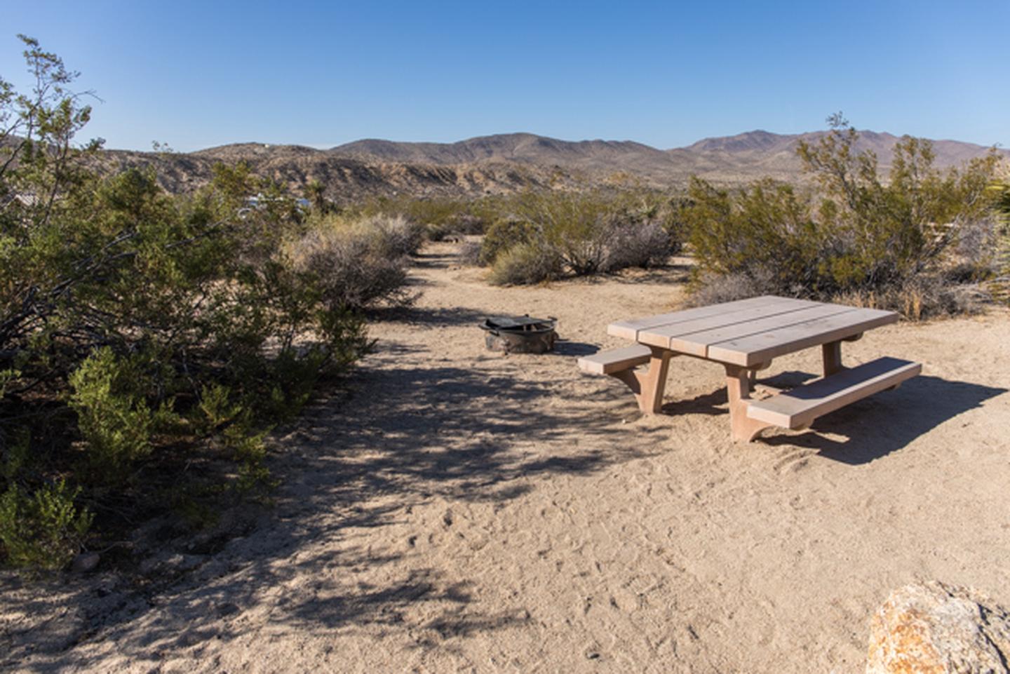 Site B-9View of campsite