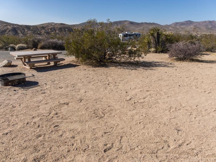 Cottonwood Site B-23Tent space