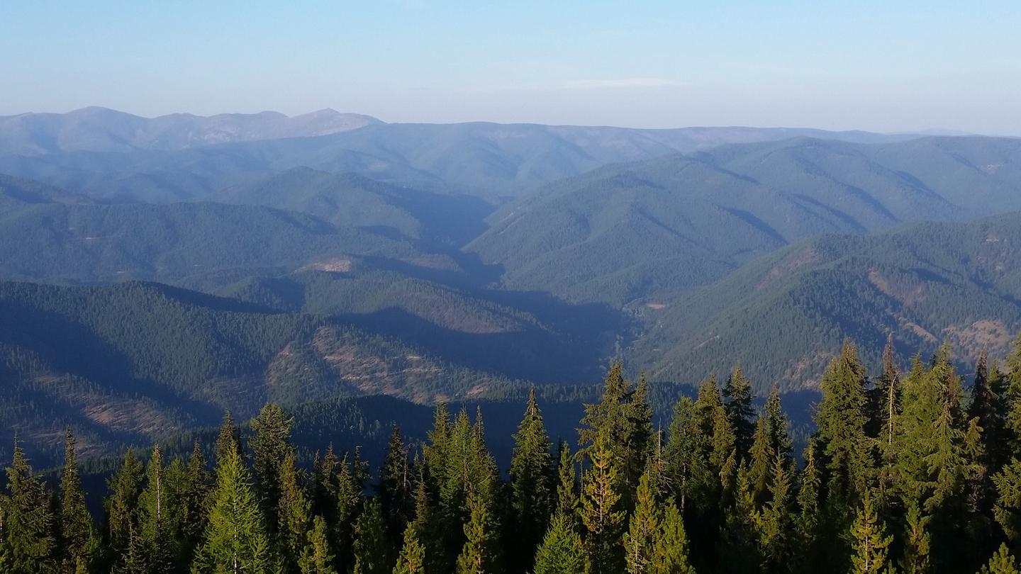 Up Up Lookout Tower view.