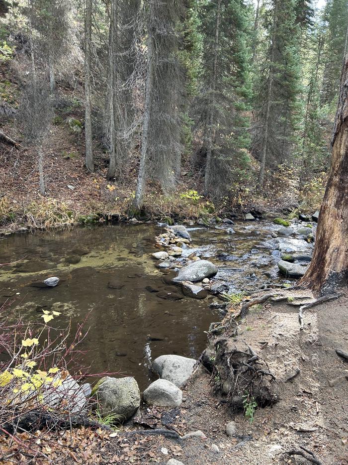 A creek surrounded by treesCreek Access for Site 2