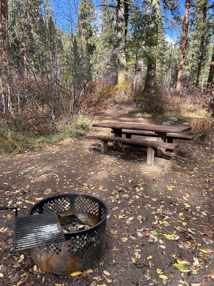 Campsite with picnic table and fire ringTen Mile Site 3