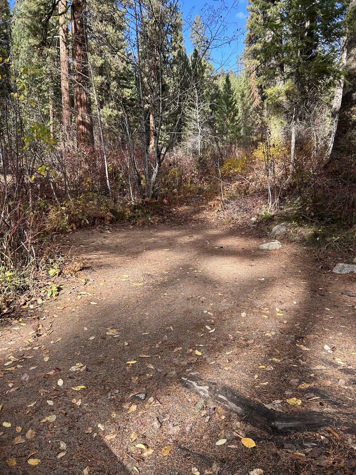 Patch of bare dirt for tent useClear area for tent use