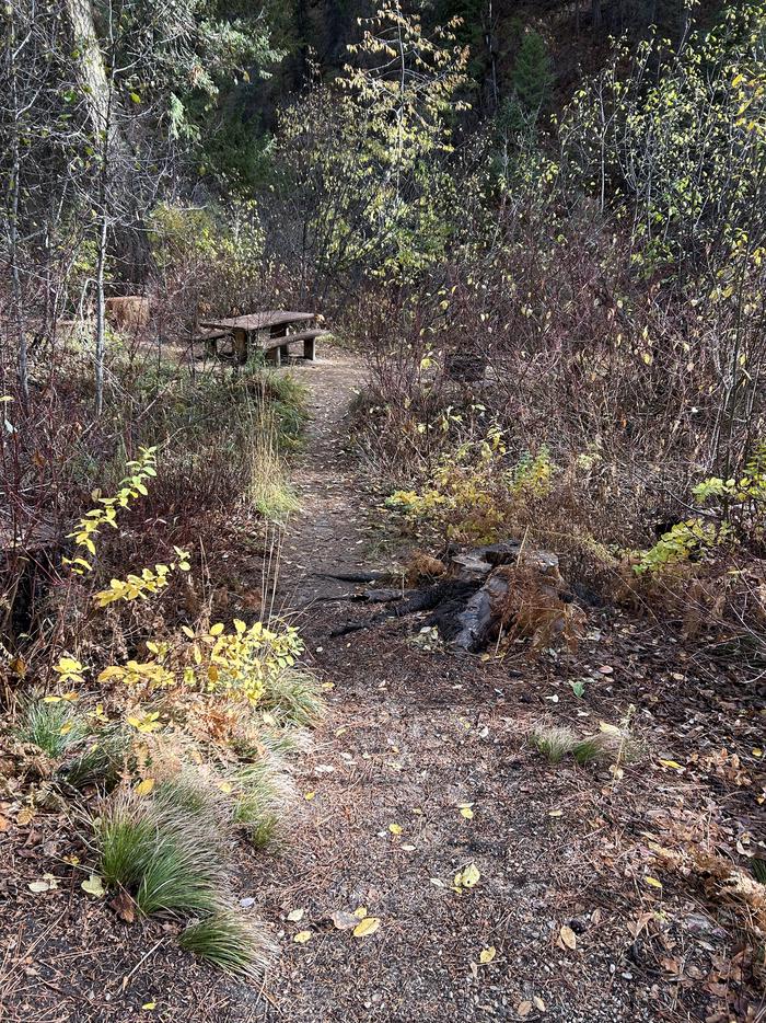 Narrow dirt path leading to campsitePath from Site 3 parking to campsite