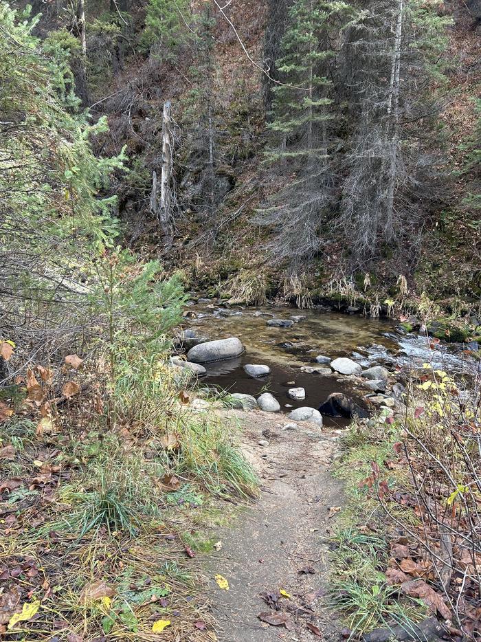 Dirt path to creekSite 3 creek access.