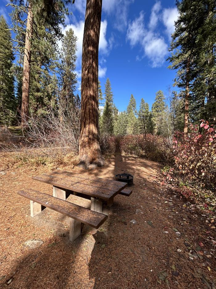 Campsite with picnic table, fire ring, and clear area for tents.Ten Mile Site 4