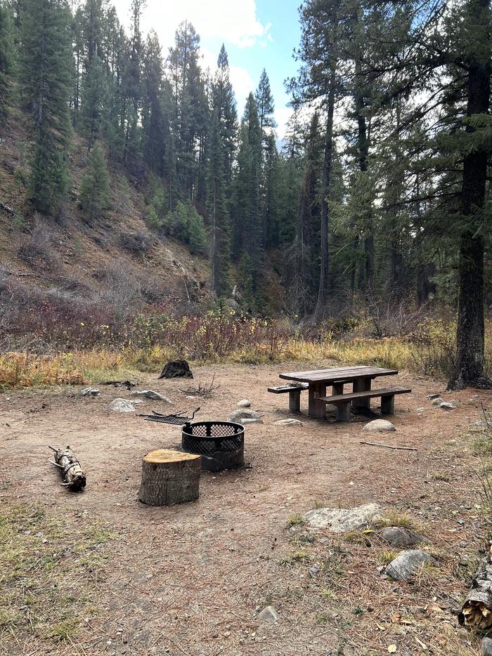 Campsite with picnic table and fire ringTen Mile Site 6