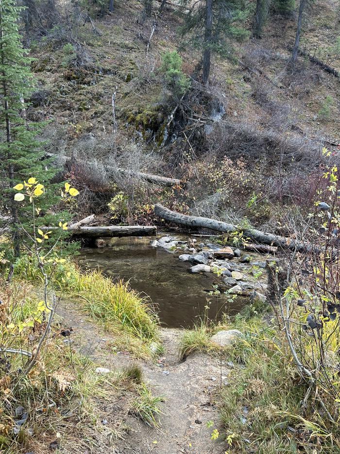 Small path to creekSite 6 creek access.