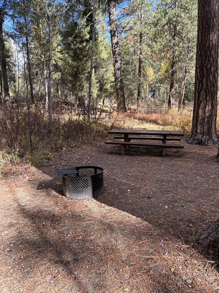 Campsite with picnic table and fire ringTen Mile Site 9