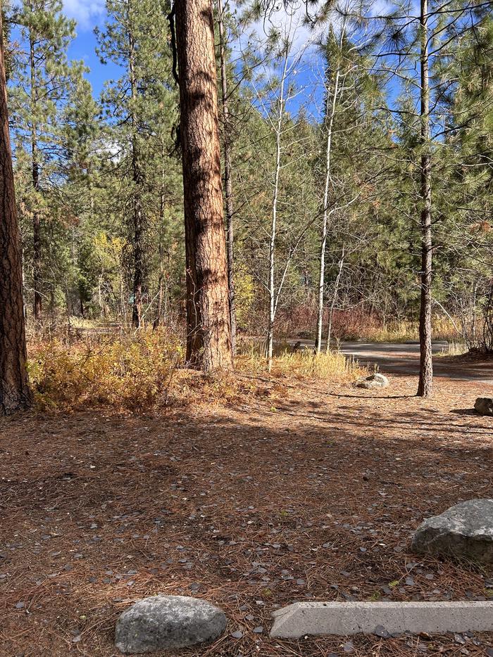 Open area next to campsiteOpen area that can be used for tents