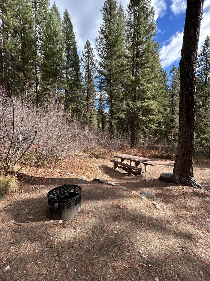 Campsite with fire ring and picnic tableTen Mile Site 11