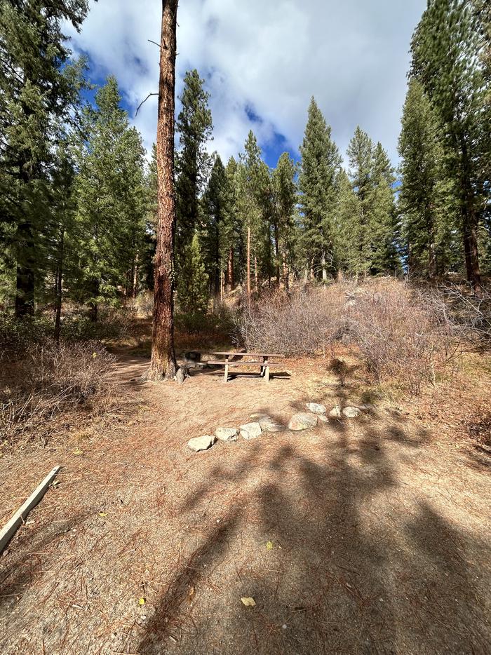 View of open area in campsite with picnic table and fire ringTen Mile Site 11.