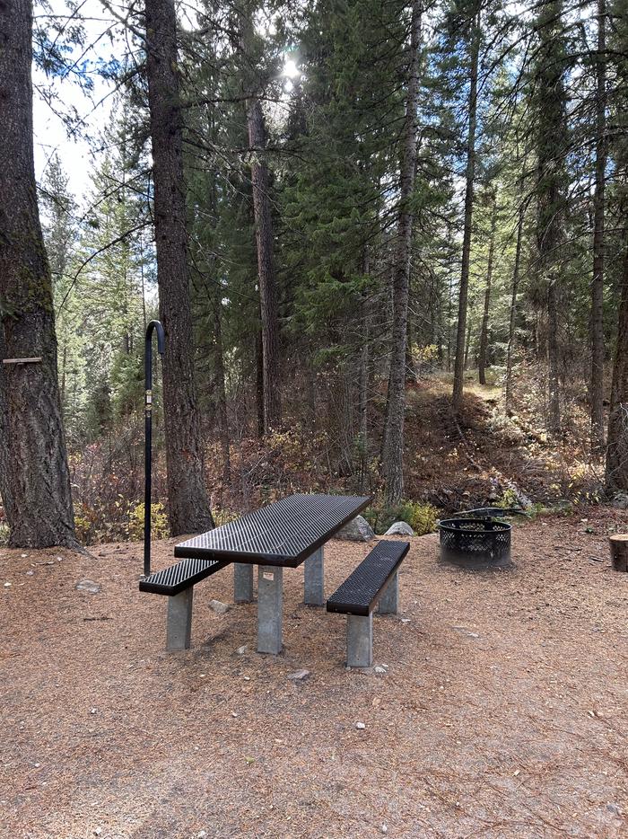 Campsite with picnic table, fire ring, and lantern hookTen Mile Site 14