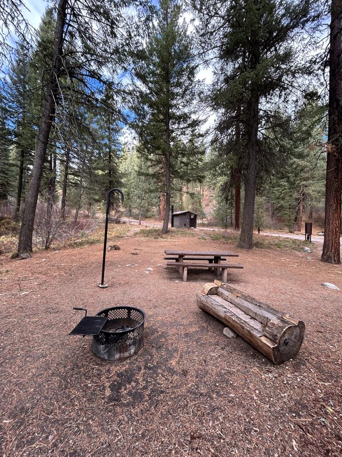 Campsite with lantern hook, fire ring, and picnic tableTen Mile Site 15