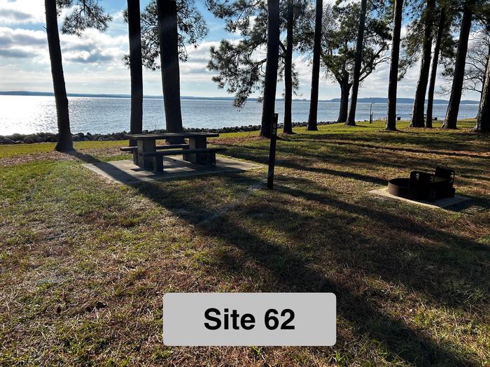 A photo of Site 62 of Loop LOOC at RAYBURN with Picnic Table, Fire Pit, Shade, Waterfront, view to the southeast. 